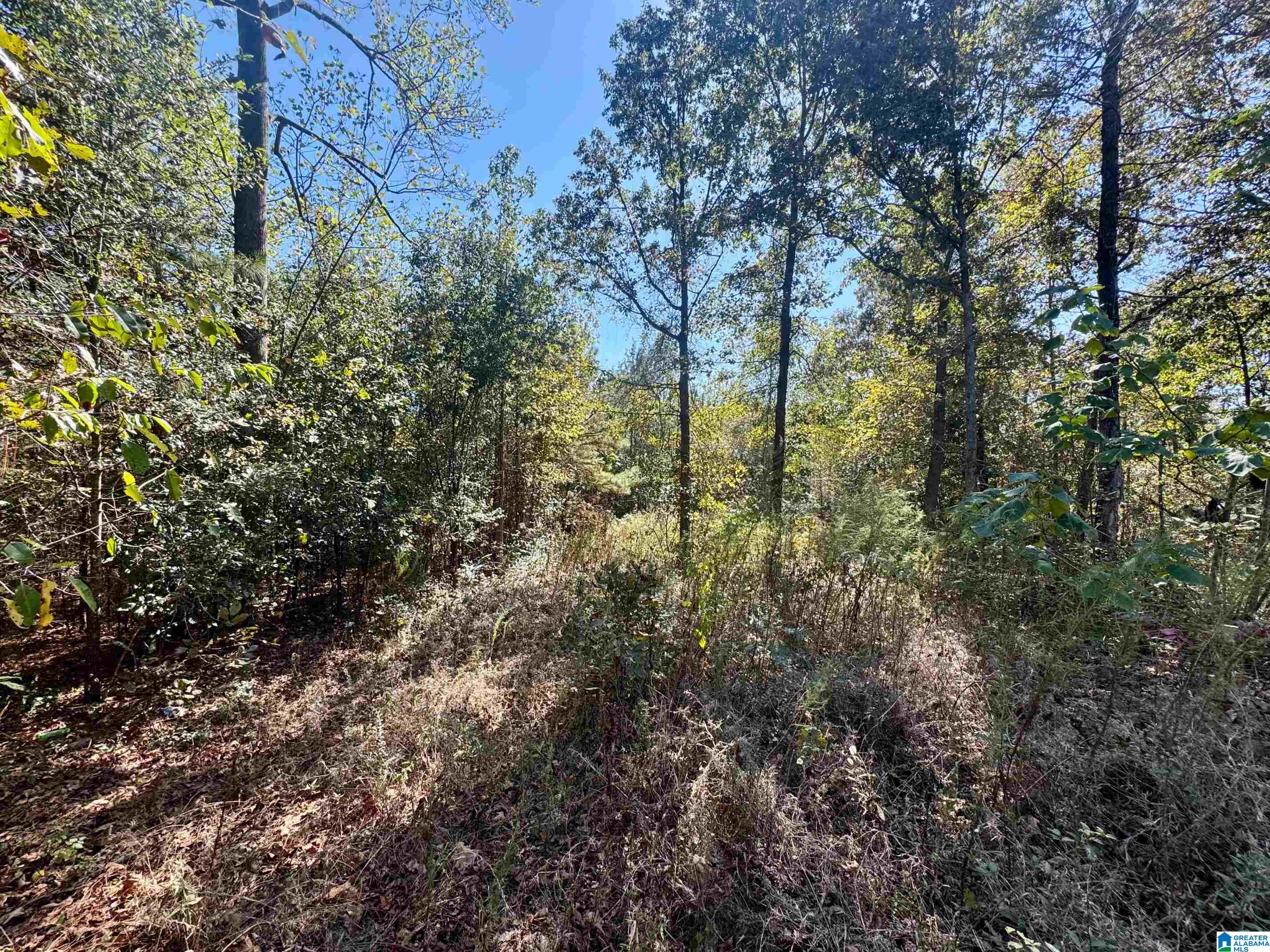 Land in NEWELL 3