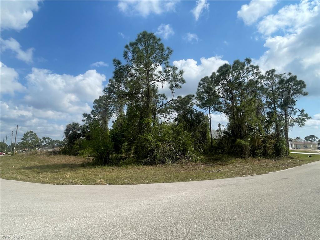 Land in LEHIGH ACRES 4