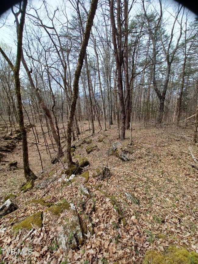 20 Dunville Gap Rd, Home with 0 bedrooms, 0 bathrooms and null parking in Rutledge TN | Image 14