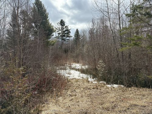 2035 Ventnor Rd, Spencerville, ON, K0E1X0 | Card Image