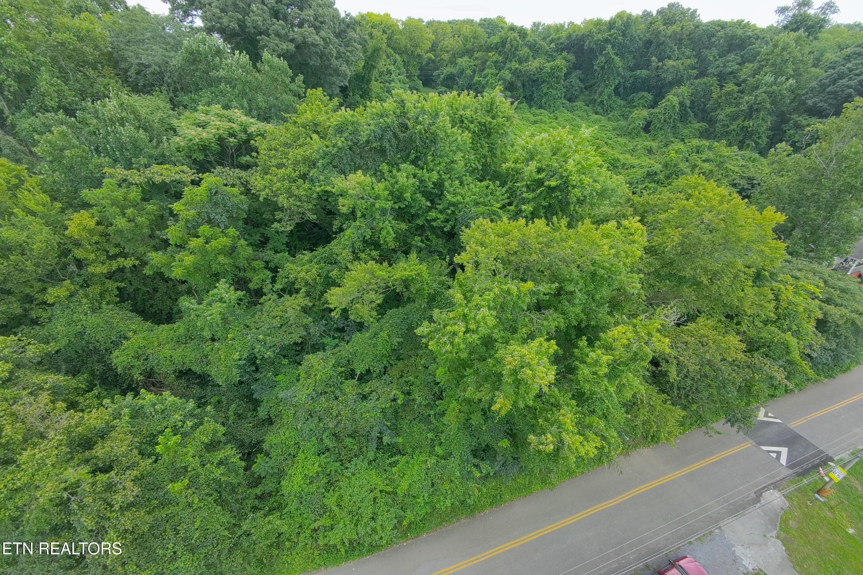 Land in Knoxville 5