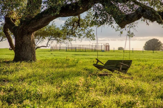 1100 Dittmar Rd, Home with 3 bedrooms, 3 bathrooms and 2 parking in Cat Spring TX | Image 8