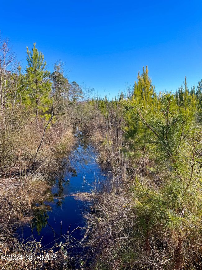 00 Sykes Town Rd, Home with 0 bedrooms, 0 bathrooms and null parking in Currie NC | Image 29