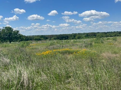 TBD County Road 333, Blanket, TX, 76432 | Card Image