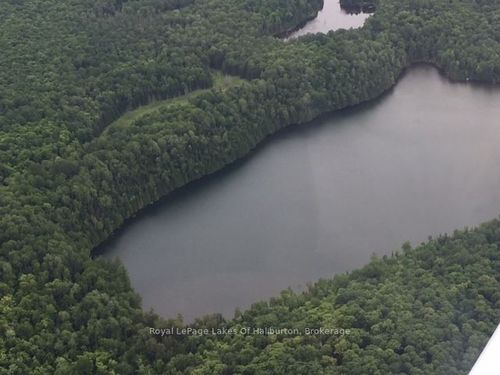 1407 Paynes Rd, Haliburton, ON, K0M1S0 | Card Image