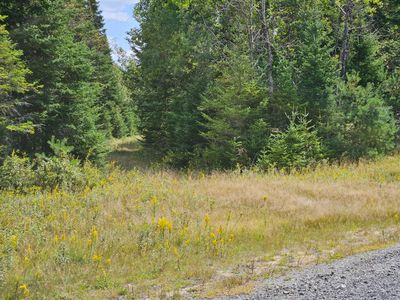 Lot 17 Daugneau Trail, Home with 0 bedrooms, 0 bathrooms and null parking in Merrillsville NY | Image 1