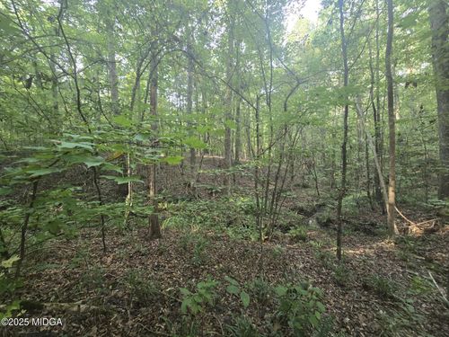 Lot 8 Pine Grove Church Road, Culloden, GA, 31016 | Card Image