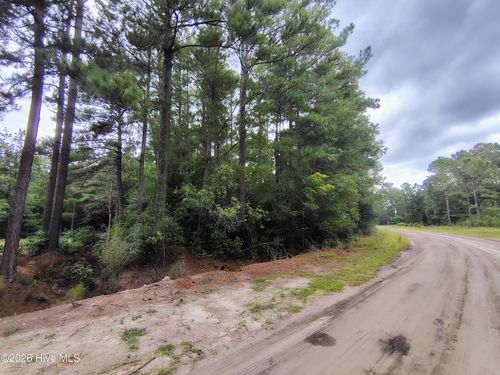 Lot 45 Deer Ln, Tabor City, NC, 28463-7500 | Card Image