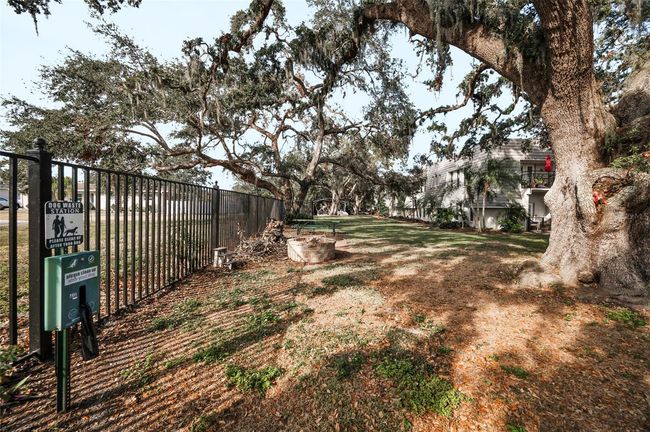 UNIT-1024 - 700 Lyndhurst St, Condo with 2 bedrooms, 2 bathrooms and null parking in DUNEDIN FL | Image 60
