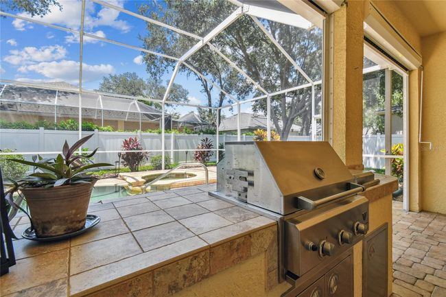 10203 Shadow Branch Dr, House other with 4 bedrooms, 3 bathrooms and null parking in TAMPA FL | Image 46