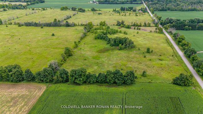 3185 Concession Rd 5, Home with 0 bedrooms, 0 bathrooms and null parking in Loretto ON | Image 15