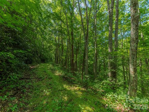131-132-133-134-132 Grouse Road, Clyde, NC, 28721 | Card Image