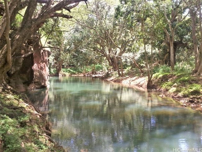 There are over 3 ponds along the stream to swim and enjoy. | Image 23