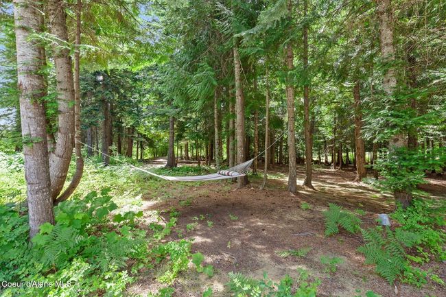 Relaxing area in the trees | Image 33