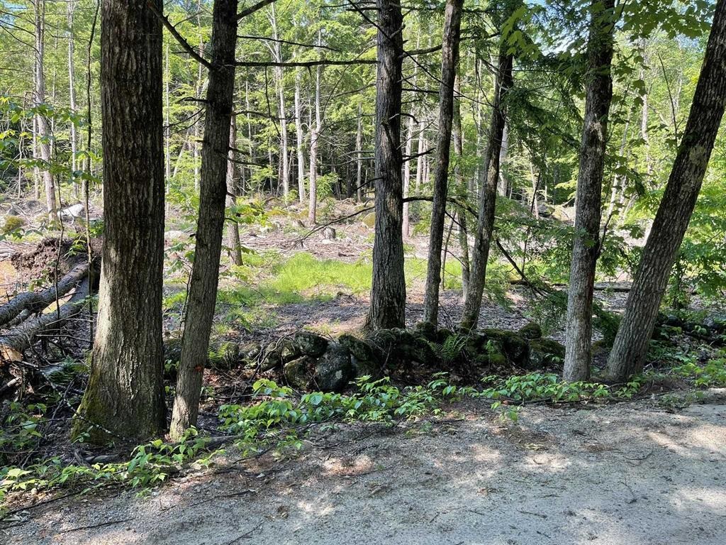 Land in Hillsborough 2