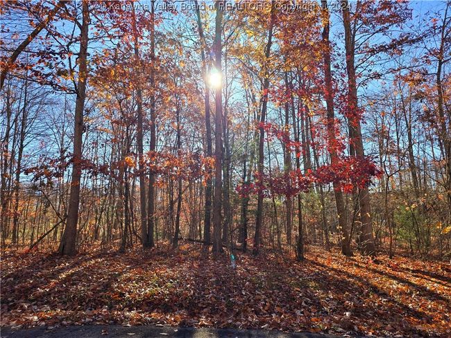 101 Chantry Ln, Home with 0 bedrooms, 0 bathrooms and null parking in Daniels WV | Image 19