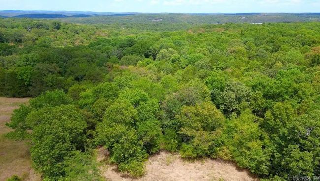 000 Cedar Ln, Home with 0 bedrooms, 0 bathrooms and null parking in Lead Hill AR | Image 24
