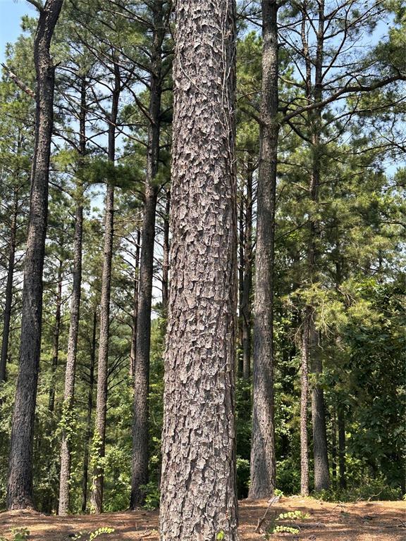 Land in Broken Bow 2