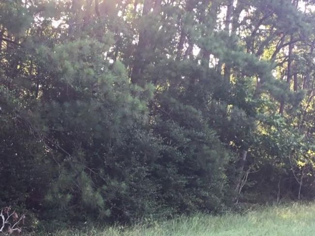 000 Navaho Trl, Home with 0 bedrooms, 0 bathrooms and null parking in Onalaska TX | Image 7