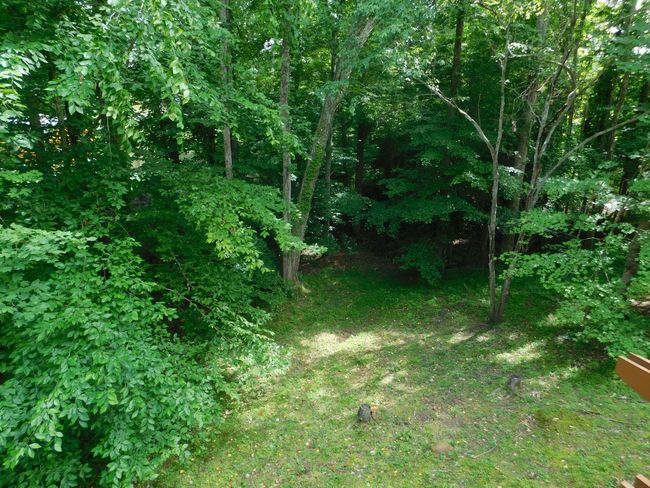 1301 Coldiron Hts, House other with 4 bedrooms, 4 bathrooms and null parking in Baxter KY | Image 43