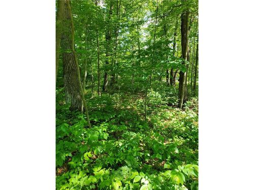 TBD 330th St, Motley, MN, 56466 | Card Image
