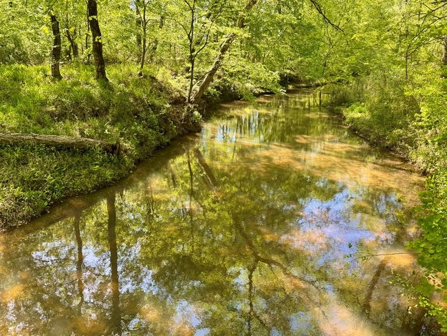 0 Ga Highway 87, Home with 0 bedrooms, 0 bathrooms and null parking in Juliette GA | Image 24