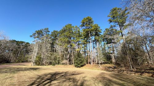 0 Royale Greens Drive, Coldspring, TX, 77331 | Card Image