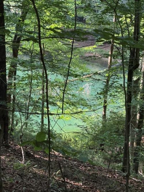 Lot 37 Quiet Waters Rd, Murphy, NC, 28906 | Card Image