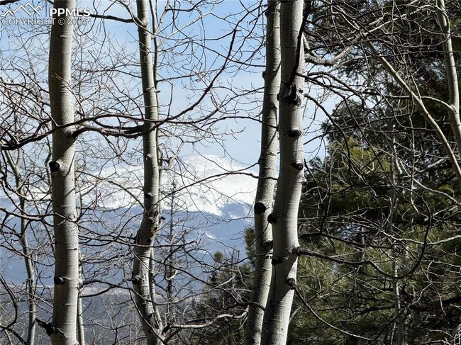 242 Apache Creek Dr, Home with 0 bedrooms, 0 bathrooms and null parking in FLORISSANT CO | Image 10
