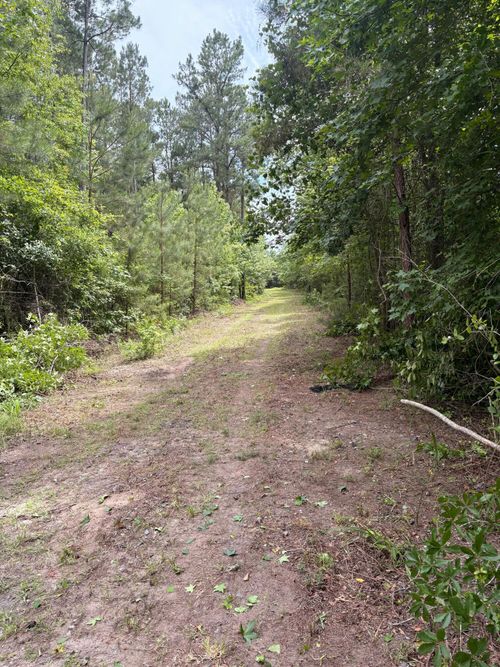 0 Cade Rd, Lake City, SC, 29560 | Card Image