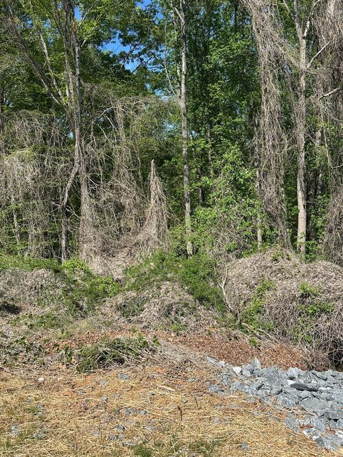 20 Deborah Drive, Lynchburg, VA, 24502 | Card Image