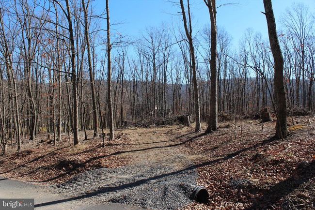 141 Hillcrest Dr, Home with 0 bedrooms, 0 bathrooms and null parking in New Creek WV | Image 4