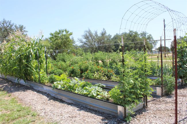 View of yard featuring a vegetable garden | Image 17