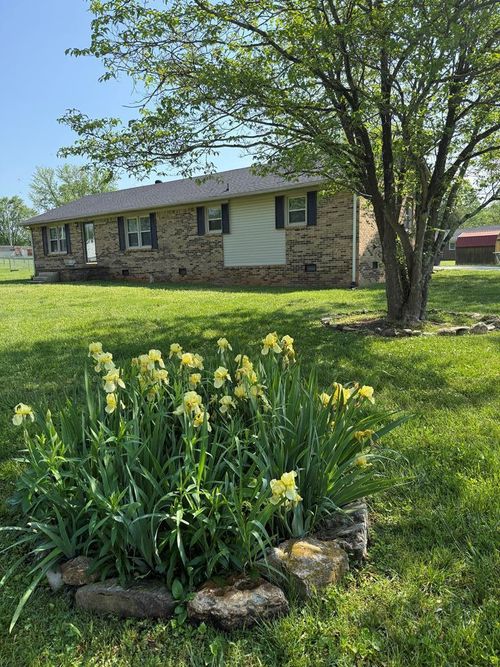 1556 Flintwood Ave, Cookeville, TN, 38506-4134 | Card Image