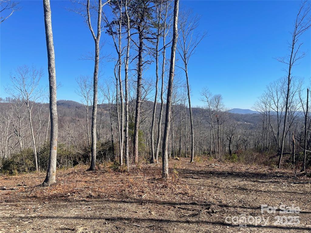 Land in Fletcher