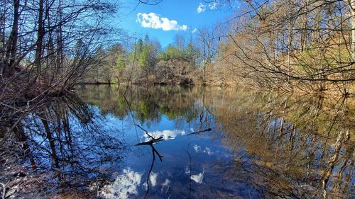 51+ acre Mountain Trce, Cherry Log, GA, 30522 | Card Image
