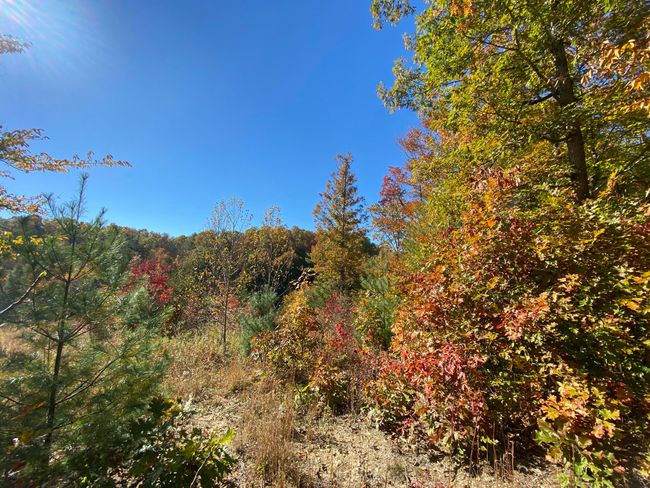 431 Harold Luke Rd, House other with 4 bedrooms, 4 bathrooms and null parking in Campton KY | Image 17