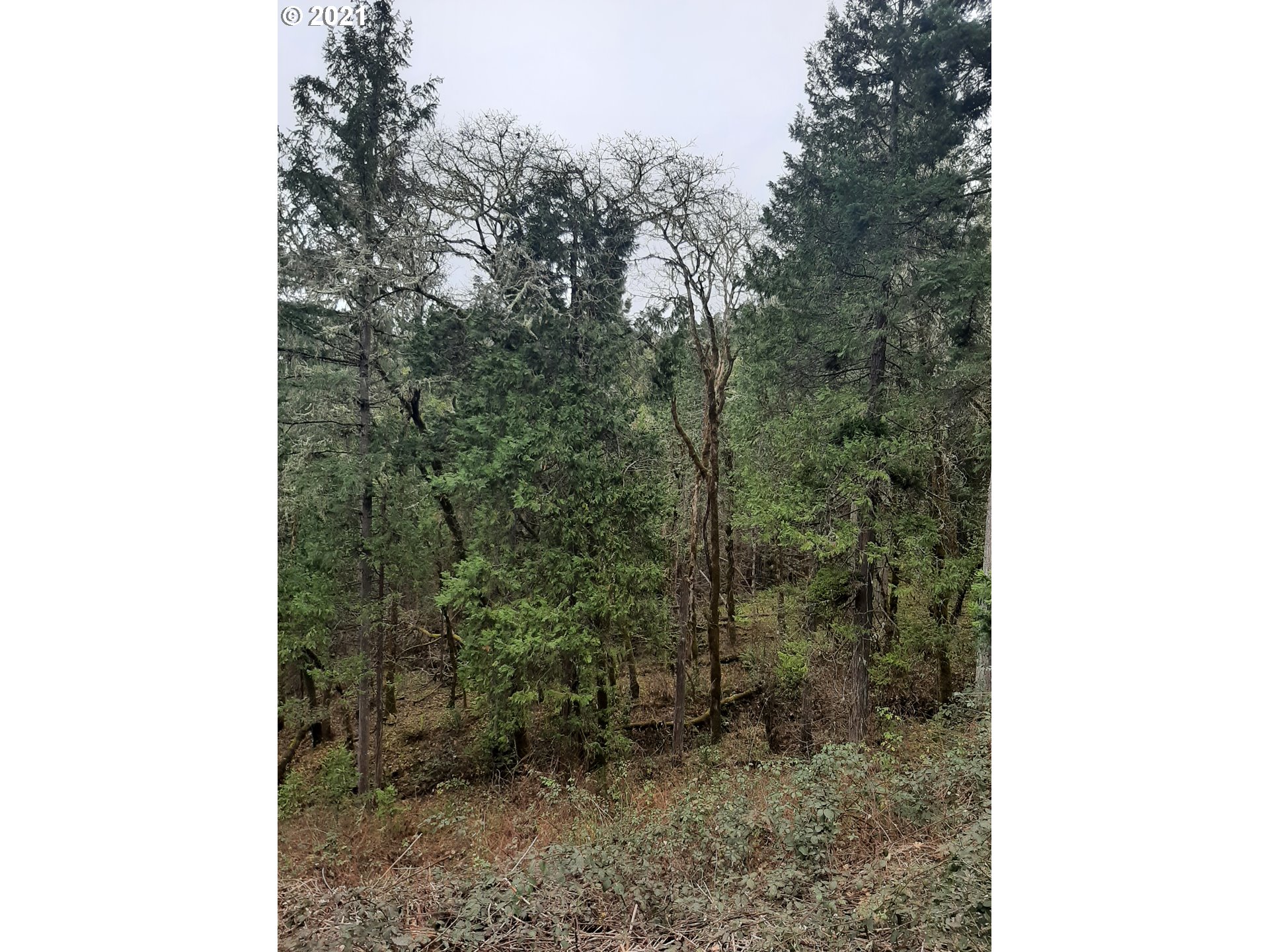 Land in Roseburg 4