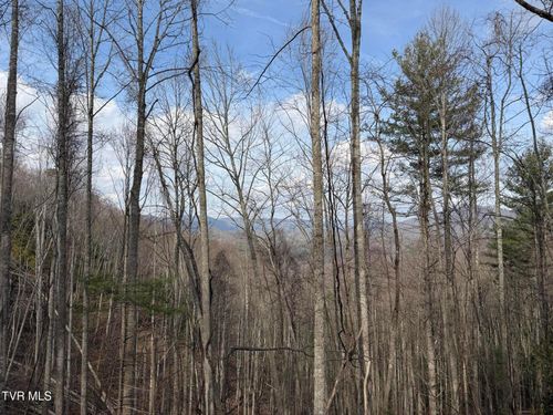 Tbd Highway 421 N, Mountain City, TN, 37683 | Card Image