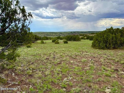 --116 County Road 8127, Concho, AZ, 85924 | Card Image