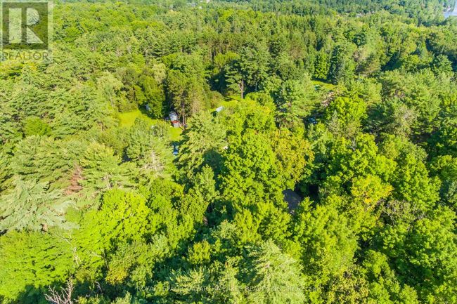 Lt 33 Benson Blvd, Home with 0 bedrooms, 0 bathrooms and null parking in Coboconk ON | Image 17