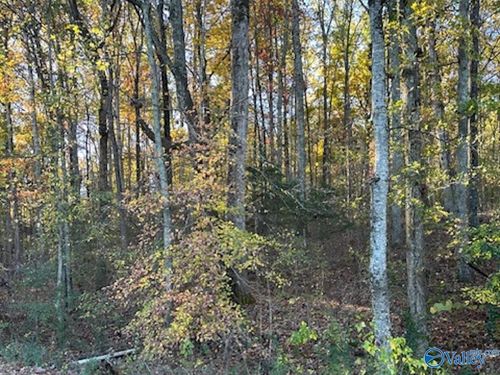 129 Price Mountain Dr, Decatur, AL, 35603-6343 | Card Image