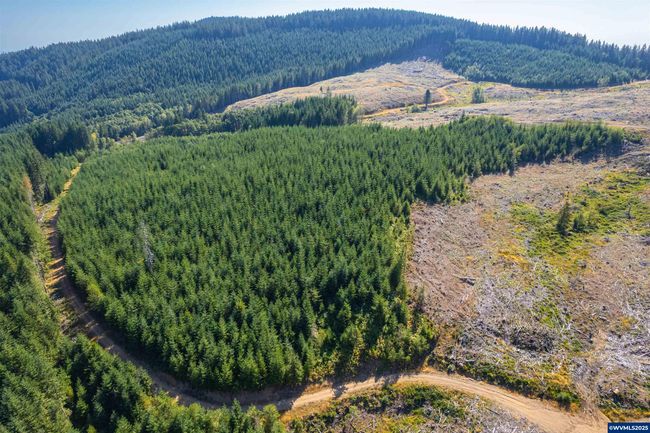 0 Bald Mountain Rd, Home with 0 bedrooms, 0 bathrooms and null parking in Beaver OR | Image 11