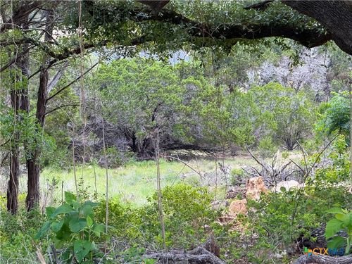 273 Scenic Dr, Canyon Lake, TX, 78133-3635 | Card Image