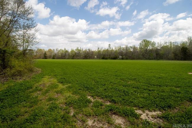 9 County Road 422, Home with 0 bedrooms, 0 bathrooms and null parking in Rector AR | Image 46