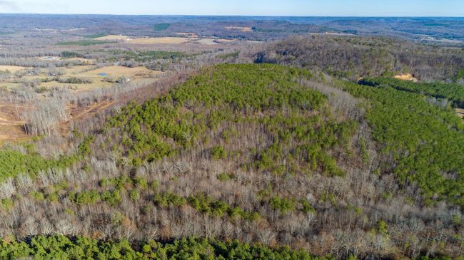 0 Rock Creek Rd, Home with 0 bedrooms, 0 bathrooms and null parking in Eva AL | Image 13