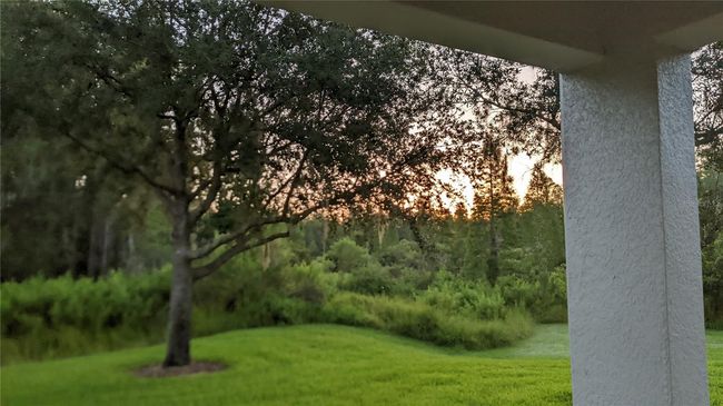 view from lanai | Image 6