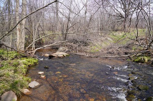 0 320th St, Boyd, WI, 54726 | Card Image