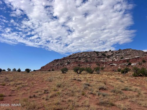 2345 W Ridge View Ranch Dr, Snowflake, AZ, 85937 | Card Image
