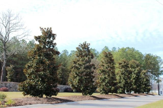 Land in Appling 3